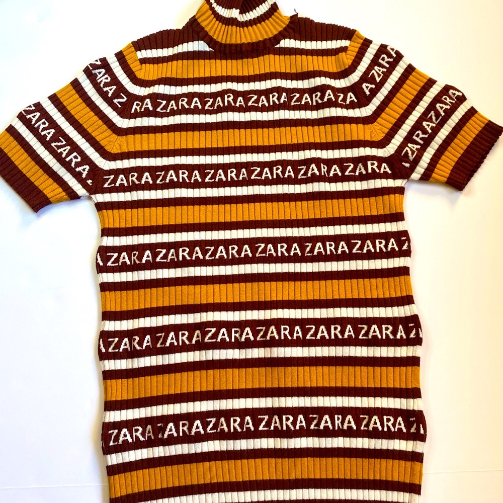 ZARA Turtleneck Knit Top (Women’s)